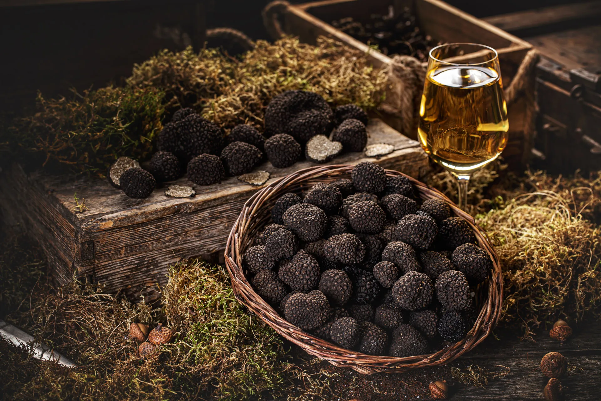 Lov na tartufe – truffle hunting