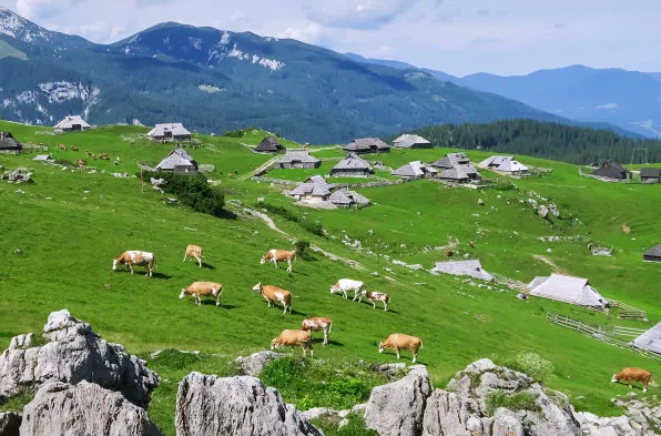 Velika planina – Kamniška Bistrica